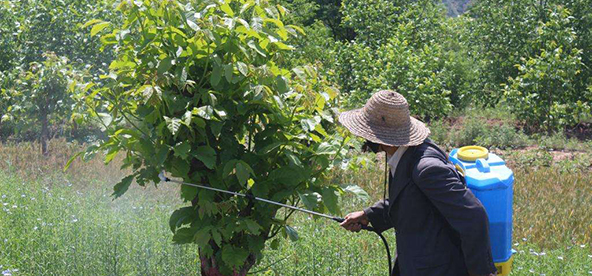 生產(chǎn)環(huán)境六